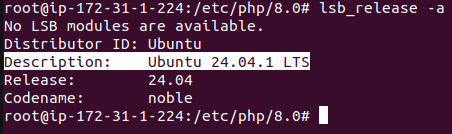 How to Install PHP 8.0 / PHP 8.0 FPM on Ubuntu 24.04 -…